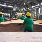 industrie bois gabon