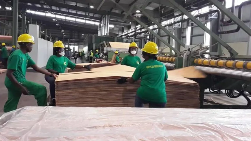 Gabon : l'expertise des comptables se met au service de la recherche des financements pour l'industrie 1 industrie bois gabon