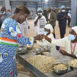 Côte d’ivoire : l’usine de transformation de noix de cajou de Boundiali commencera ses essais de production dès août 2024