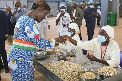 Côte d’ivoire : l’usine de transformation de noix de cajou de Boundiali commencera ses essais de production dès août 2024