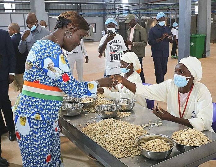 Côte d’ivoire : l’usine de transformation de noix de cajou de Boundiali commencera ses essais de production dès août 2024 1 Côte d’ivoire : l’usine de transformation de noix de cajou de Boundiali commencera ses essais de production dès août 2024