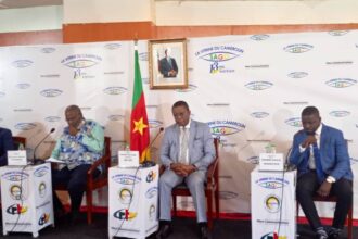 Cameroun : ces freins qui empêchent encore le fonctionnement optimal de l’API