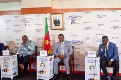 Cameroun : ces freins qui empêchent encore le fonctionnement optimal de l’API