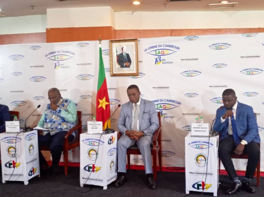 Cameroun : ces freins qui empêchent encore le fonctionnement optimal de l’API