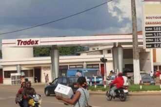 RD Congo : ce qui pousse Tradex à la conquête du marché de la distribution des produits pétroliers