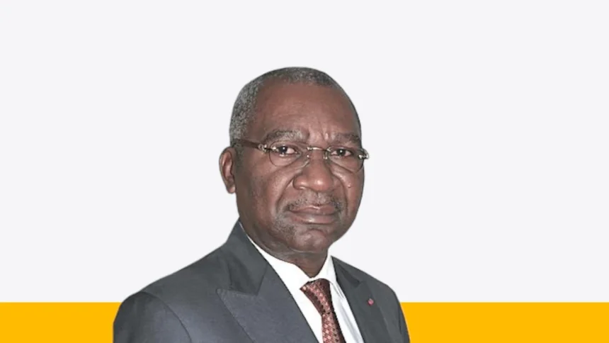 Charles Booto À Ngon, DG Anor Cameroun