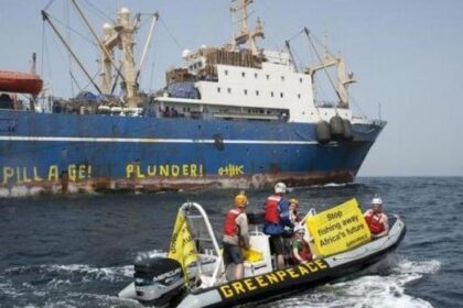 Afrique : la pêche illégale fait perdre aux Etats des milliards de dollars et des milliers d'emplois