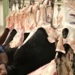 abattoir cameroun, sodepa
