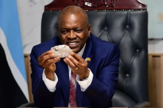 Botswana : Le deuxième plus gros diamant découvert, il est estimé à plus de 40 millions de dollars