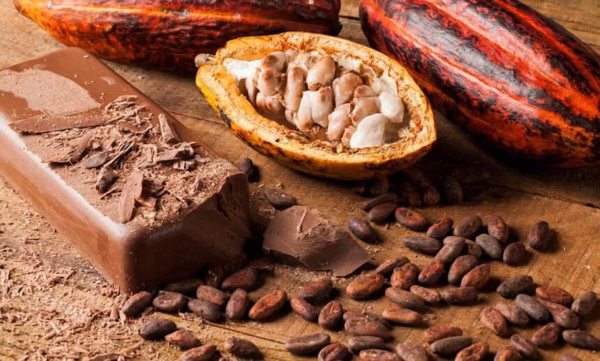 Afrique : comment l'offre mondiale du cacao décline en impactant le marché et les produits dérivés