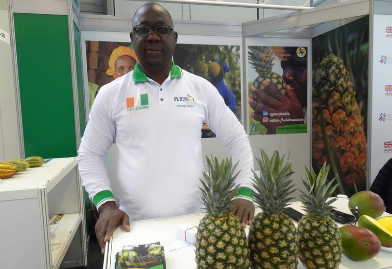 Côte d'Ivoire : mangue, ananas, papaye... pourquoi augmenter la force de transformation locale des fruits 1 Côte d'Ivoire : mangue, ananas, papaye... pourquoi augmenter la force de transformation locale des fruits