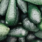 Afrique : les exportations d'avocats augmentent de 14% en 2023, alors qu'un tissu industriel de transformation locale se forme