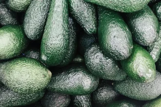 Afrique : les exportations d'avocats augmentent de 14% en 2023, alors qu'un tissu industriel de transformation locale se forme