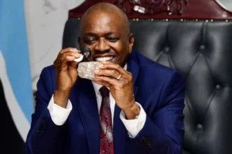 Afrique : terre de diamant, poumon de l’offre mondiale
