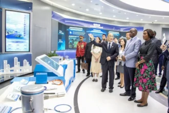 Gabon : le leader chinois Nari Group Corporation va-t-il investir dans le secteur de l'énergie électrique ?