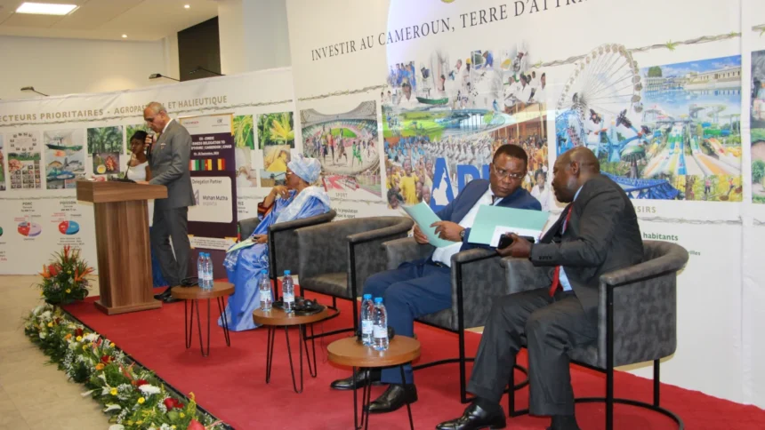 L’offensive indienne sur le marché camerounais