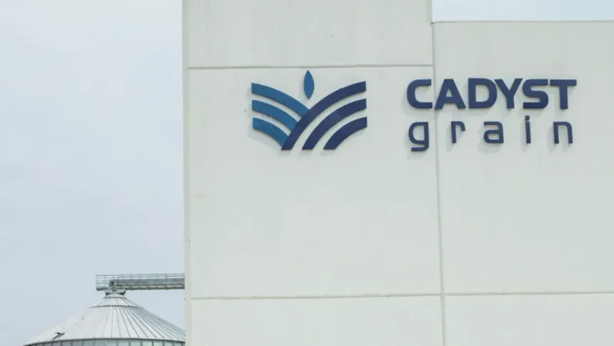Afrique centrale : Pourquoi Somdia cède à Cadyst Group ses unités de production de farine de blé au Cameroun et au Congo