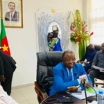 campagne cacaoyère 2024-2025 au Cameroun