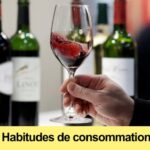 Côte d'Ivoire : le top de l'importation du vin en Afrique et la question de la production locale