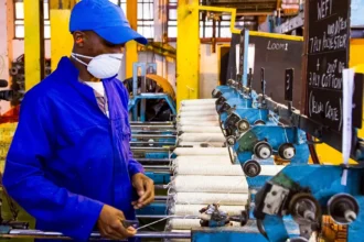 Les enjeux de la conférence économique africaine 2024 à Gaborone au Botswana