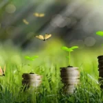 Afrique : l'économie verte peut générer jusqu'à 3,3 millions d'emplois directs d'ici 2030