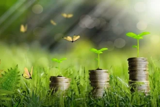 Afrique : l'économie verte peut générer jusqu'à 3,3 millions d'emplois directs d'ici 2030