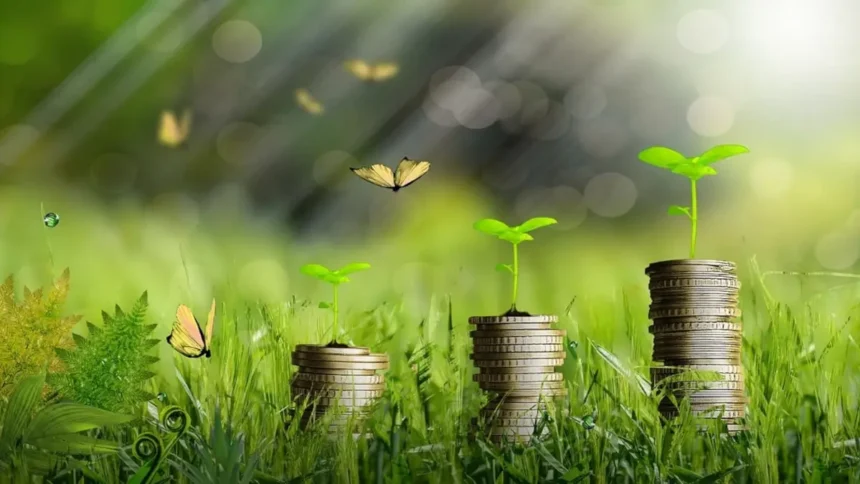 Afrique : l'économie verte peut générer jusqu'à 3,3 millions d'emplois directs d'ici 2030