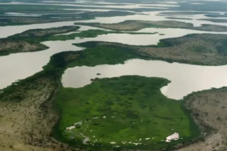 Cameroun, Tchad, Niger et Nigeria : pourquoi il est vital d'arrêter le rétrécissement du Lac Tchad