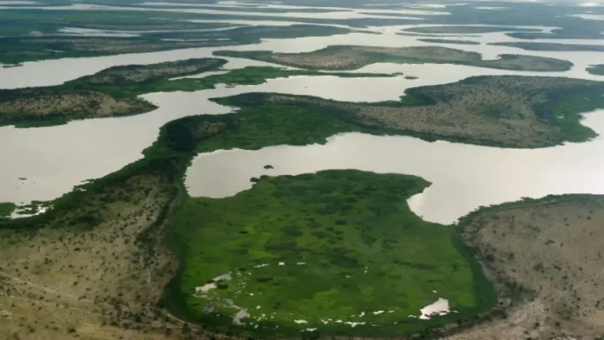 Cameroun, Tchad, Niger et Nigeria : pourquoi il est vital d'arrêter le rétrécissement du Lac Tchad