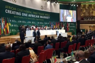 Zone de libre-échange continentale africaine : TradeConnect, une impulsion nouvelle pour le commerce des PME