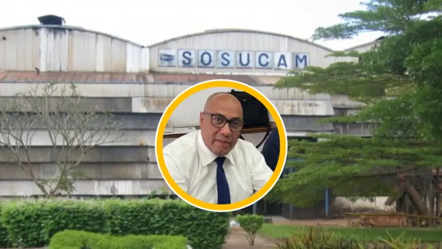 Un Camerounais réintègre le top management de la SOSUCAM