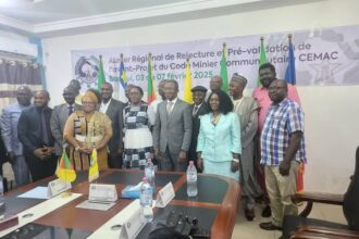 CEMAC : des avancées dans l’élaboration d’un code minier communautaire