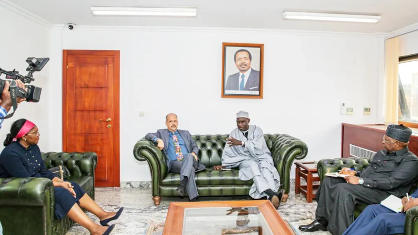 Cameroun : ces innovations qu’entend apporter la Fintech américaine Azamra dans l’inclusion financière 1 Cameroun : ces innovations qu’entend apporter la Fintech américaine Azamra dans l’inclusion financière
