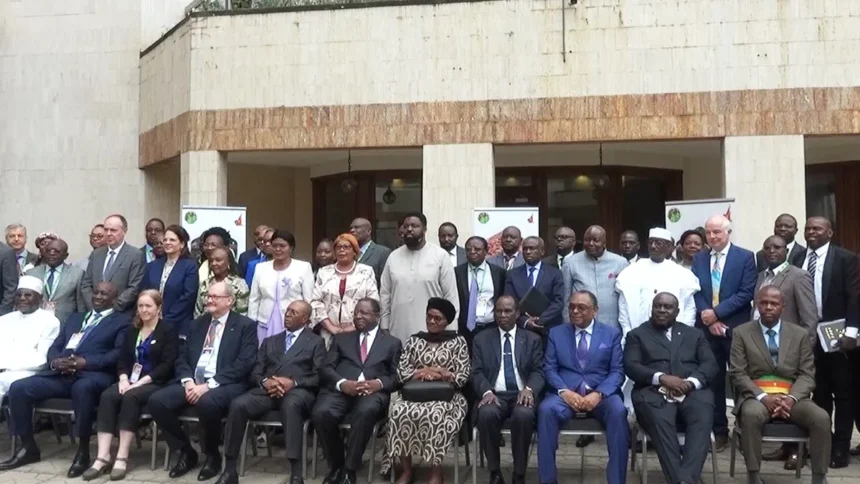 Cameroun : le plaidoyer de Yaoundé pour une chaîne de valeur mondiale du cacao durable 1 Cameroun : le plaidoyer de Yaoundé pour une chaîne de valeur mondiale du cacao durable