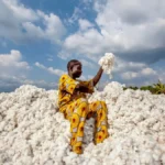Bénin : le pays tisse sa souveraineté économique avec du coton