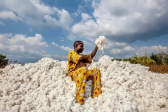 Bénin : le pays tisse sa souveraineté économique avec du coton