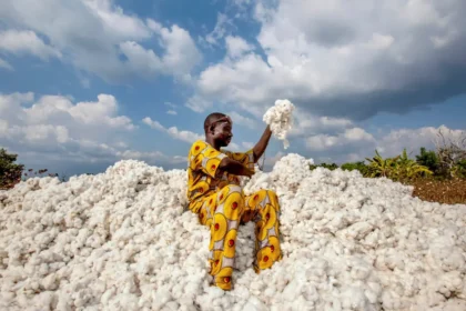 Bénin : le pays tisse sa souveraineté économique avec du coton