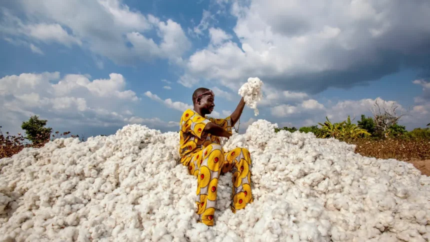 Bénin : le pays tisse sa souveraineté économique avec du coton 1 Bénin : le pays tisse sa souveraineté économique avec du coton