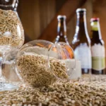 Afrique : le marché de malt en effervescence sur fond de boom brassicole