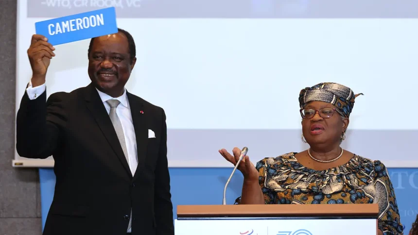 Cameroun : comment la 14ème Conférence ministériel de l’OMC se prépare