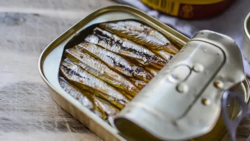 Afrique : des opportunités d’investissement à saisir dans le marché des sardines en conserve 1 Afrique : des opportunités d’investissement à saisir dans le marché des sardines en conserve