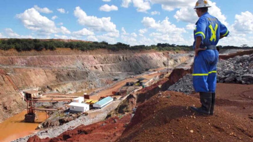 Cameroun : déjà 600 000 tonnes de fer de la mine de Grand Zambi en attente d’exportation, malgré la forte demande locale