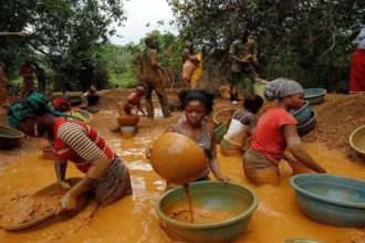 Cameroun : les superficies d'exploitation de l’or croissent de plus de 500% en 14 ans, sans impact sur les infrastructures locales