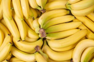Banane plantain en Algérie : un levier stratégique pour l'économie locale