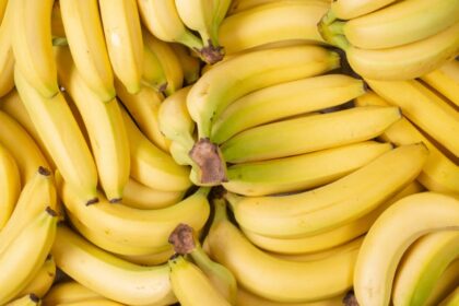 Banane plantain en Algérie : un levier stratégique pour l'économie locale