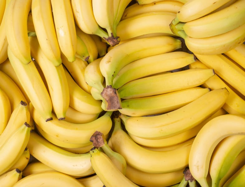 Algérie : des opportunités d’investissement dans la banane plantain 1 Banane plantain en Algérie : un levier stratégique pour l'économie locale