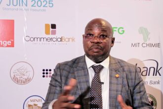 Blaise Alain Batongue : « La zone CEMAC est l’une des moins performantes au monde en matière d’intégration »