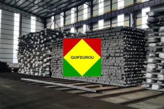 Jacky Bruno Tcheutchoua Peughoula : une usine de fer à béton à Douala avec le soutien de la BDEAC