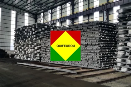 Jacky Bruno Tcheutchoua Peughoula : une usine de fer à béton à Douala avec le soutien de la BDEAC
