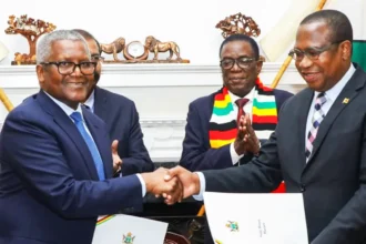 Energie, ciment, calcaire, pétrole : Aliko Dangote relance un investissement de 1 milliard de dollars au Zimbabwe